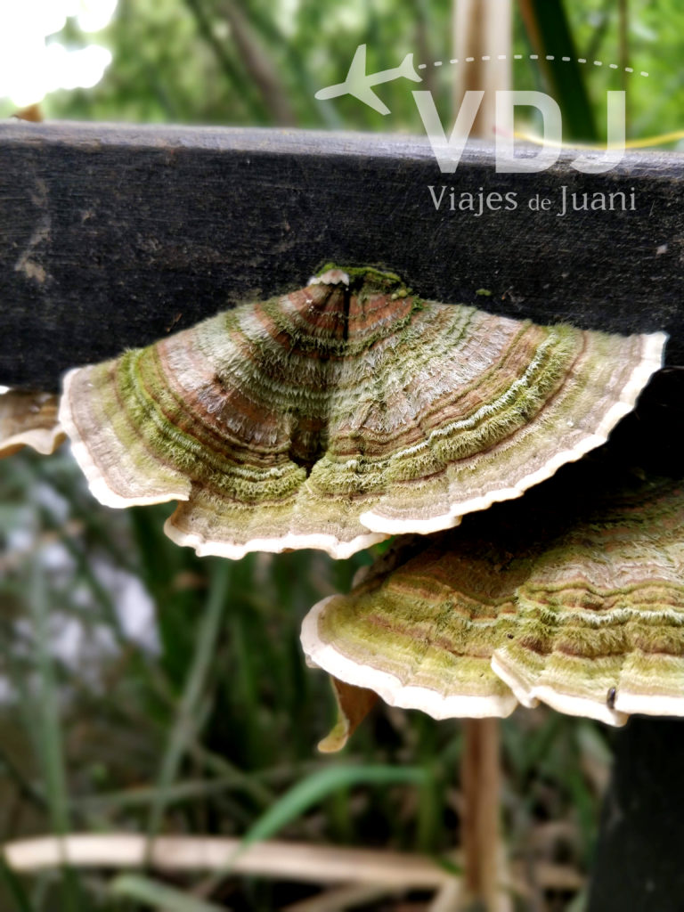 Biodiversidad de la reserva delta terra