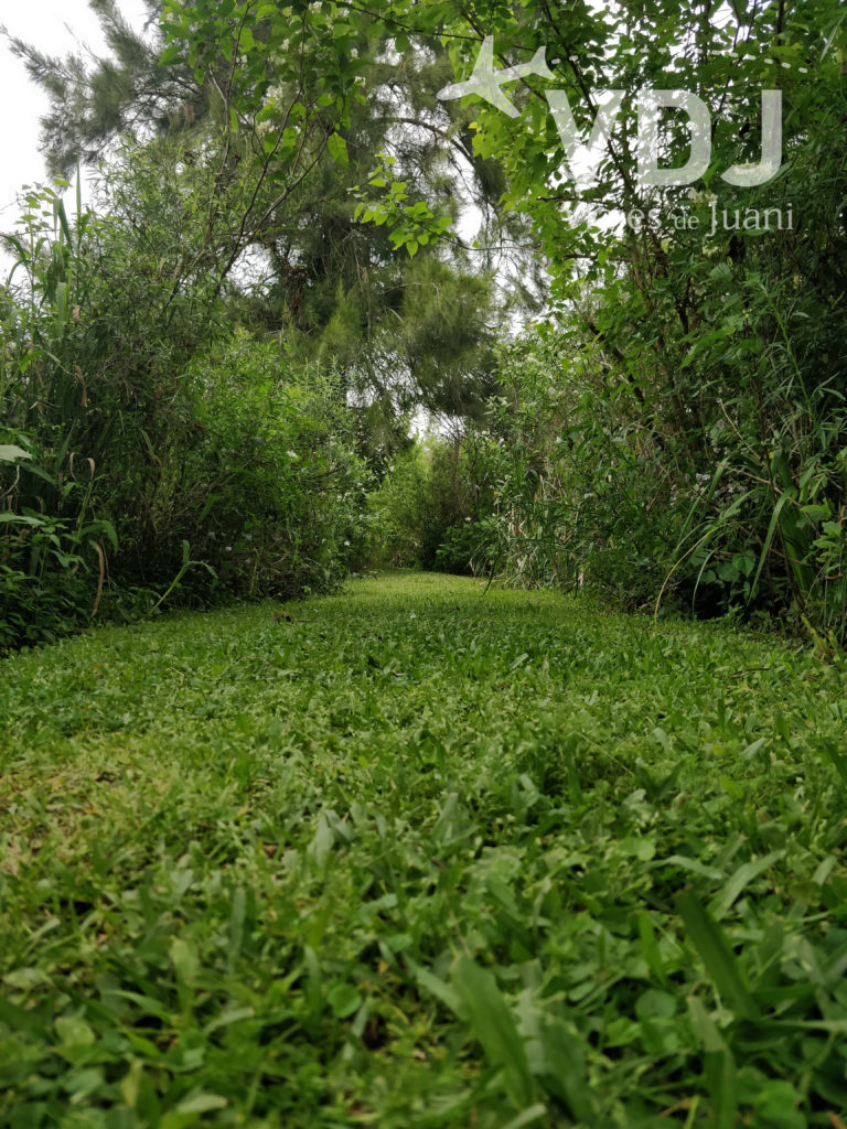 Recorrido dentro de la reserva delta terra