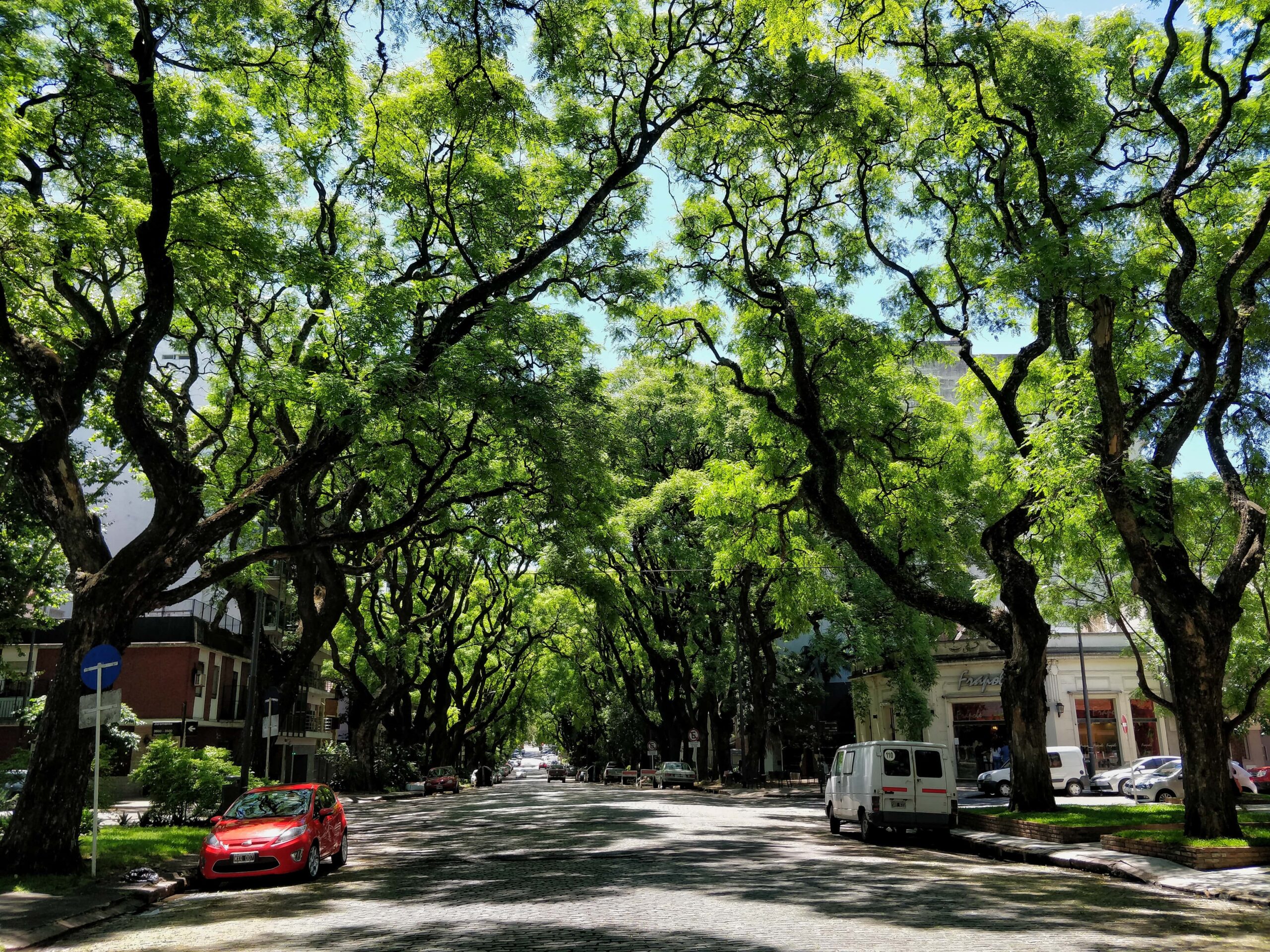 Qué hacer en Belgrano