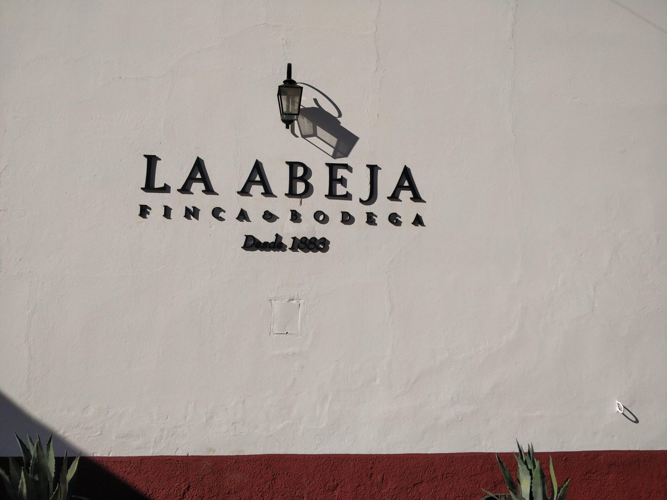 Bodegas en San Rafael