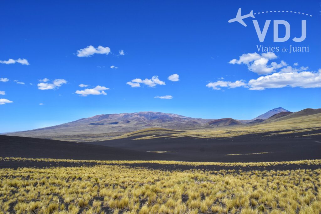 pampa negra la payunia