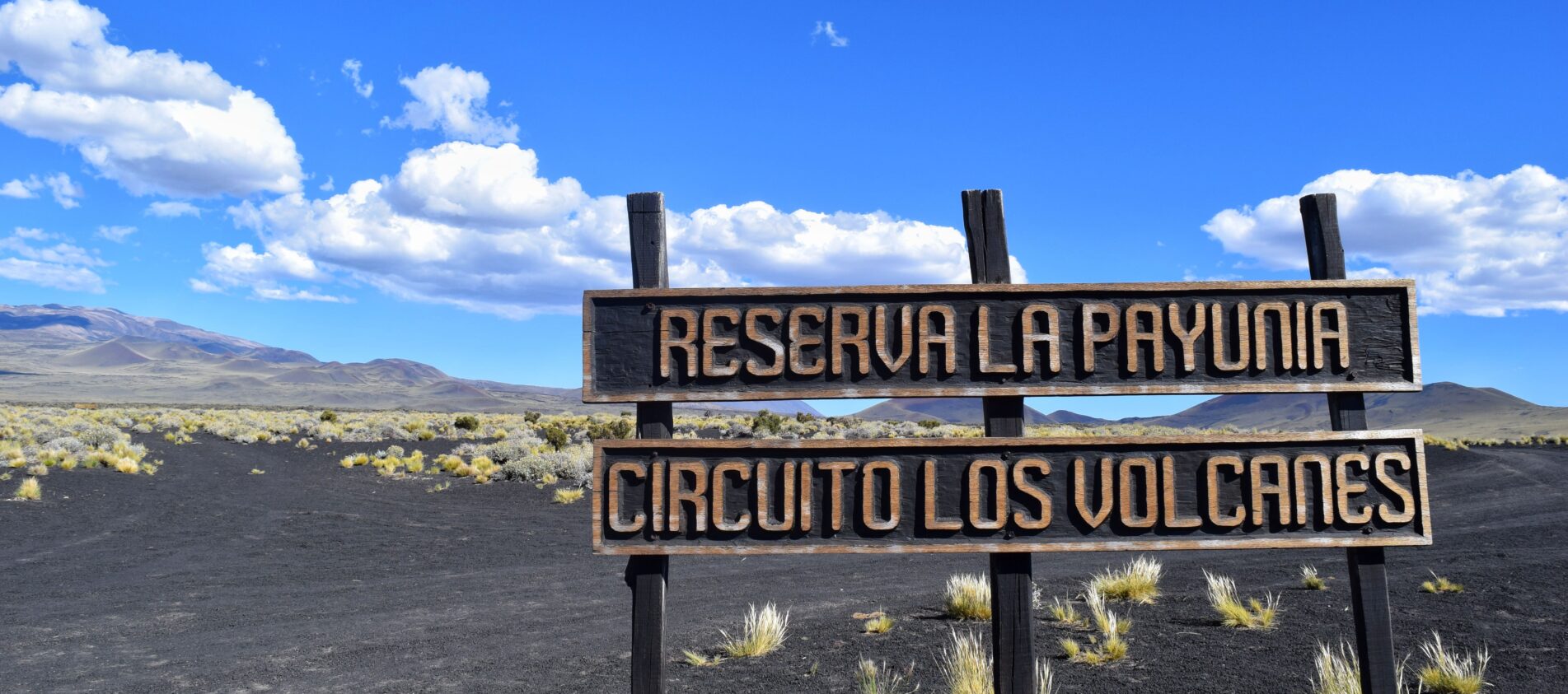 reserva la payunia