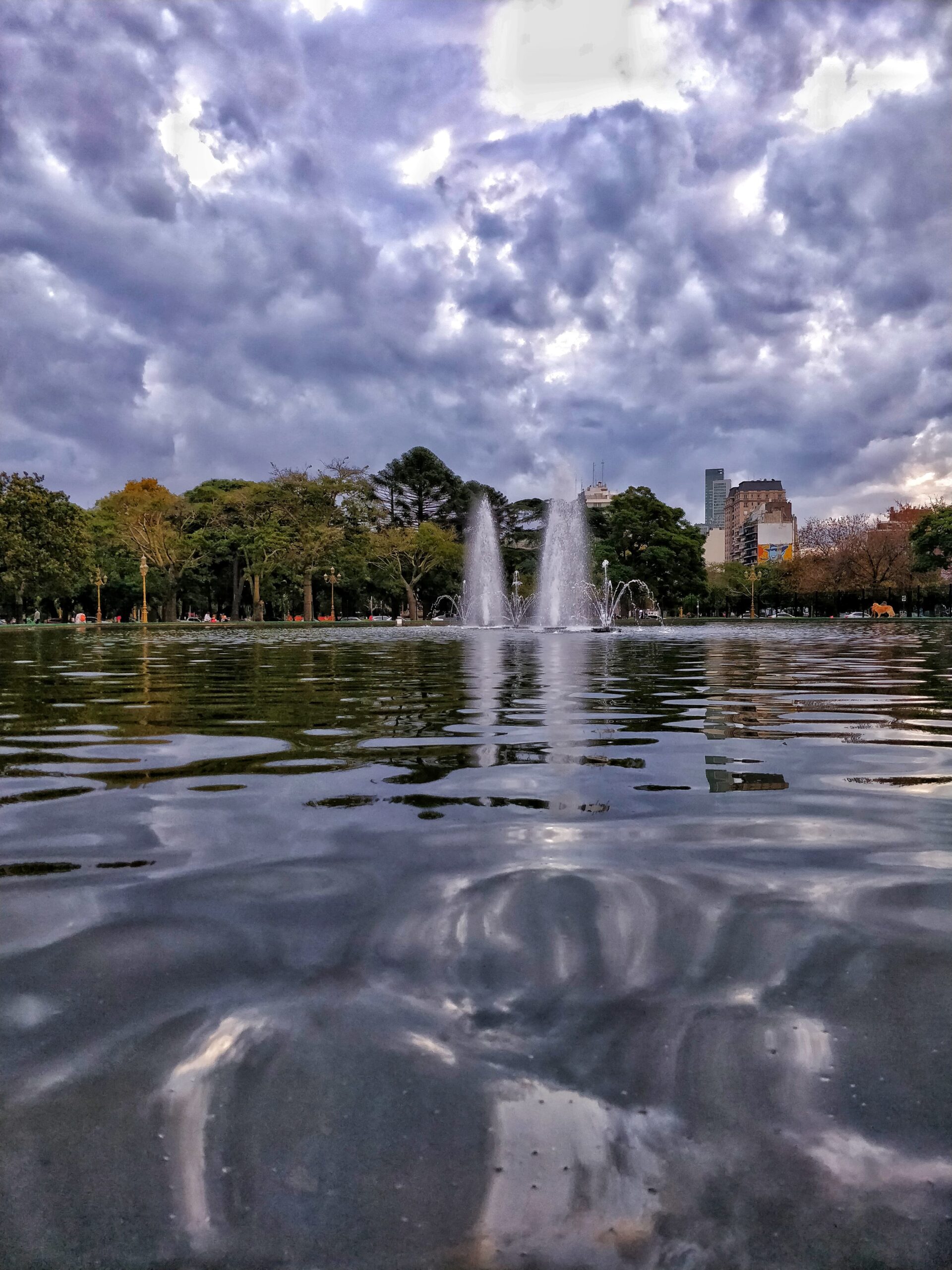 3 reservas naturales urbanas en la ciudad