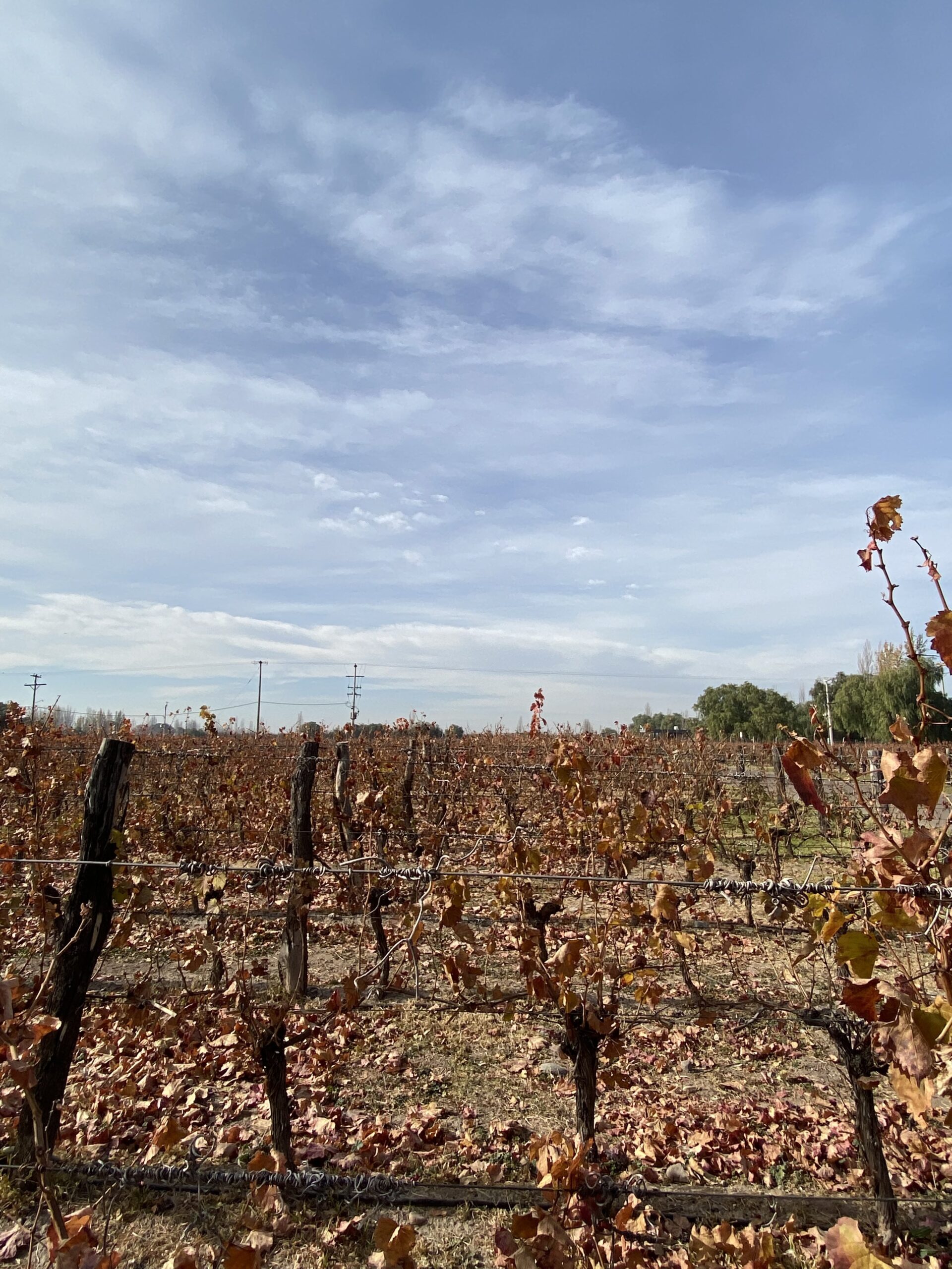 Fin de semana en Mendoza